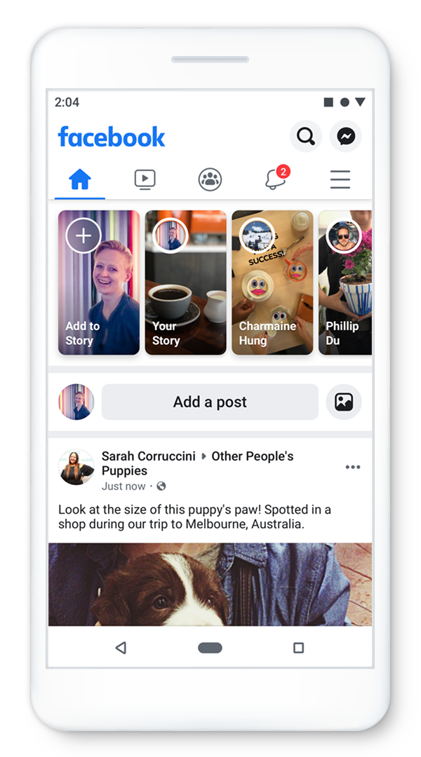 FB-mock